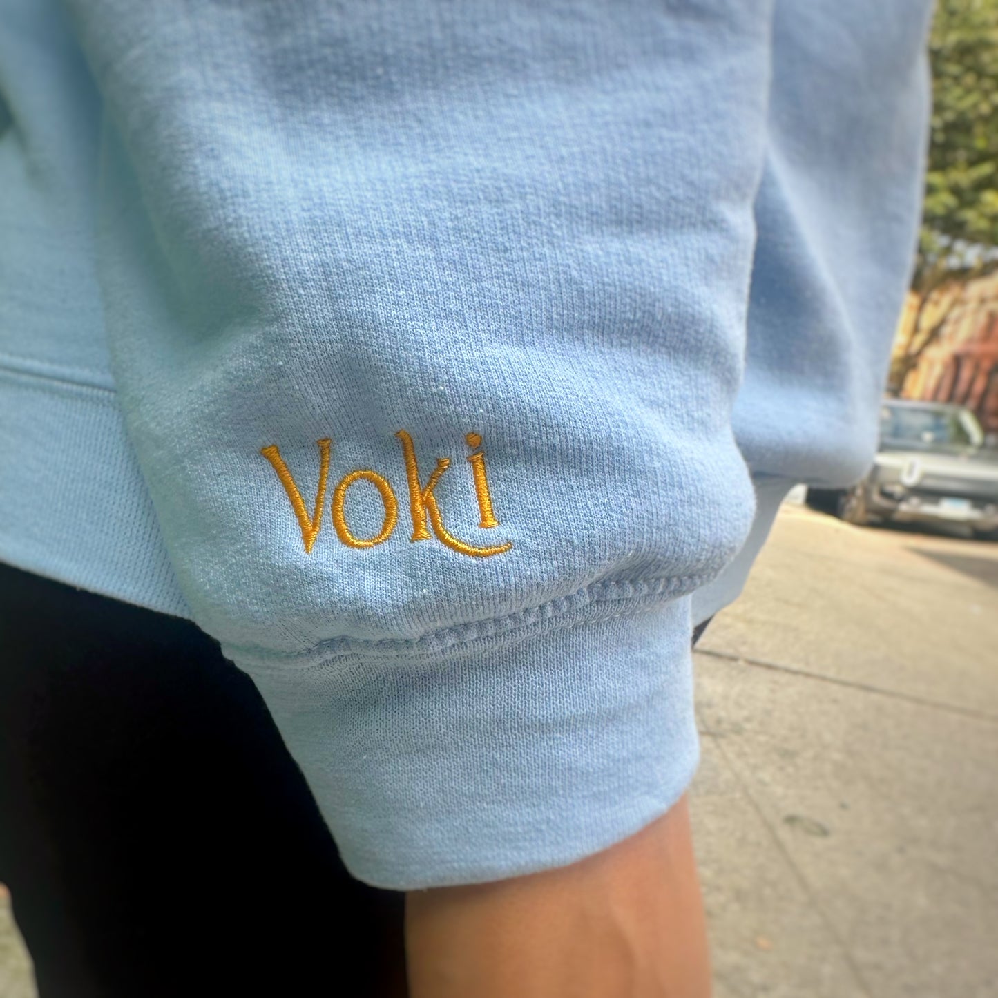 Achkt Luys Blue Unisex Sweater